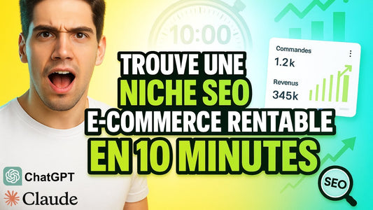 niche-seo-dropshipping-ia